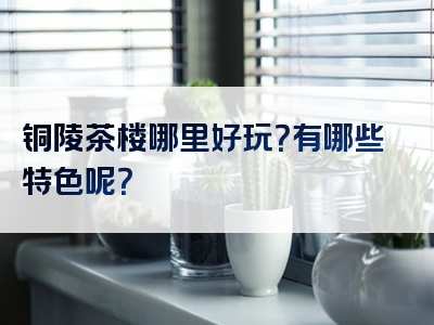 铜陵茶楼哪里好玩？有哪些特色呢？
