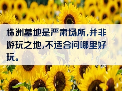 株洲墓地是严肃场所，并非游玩之地，不适合问哪里好玩。
