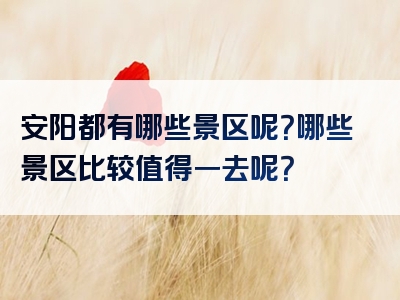 安阳都有哪些景区呢？哪些景区比较值得一去呢？