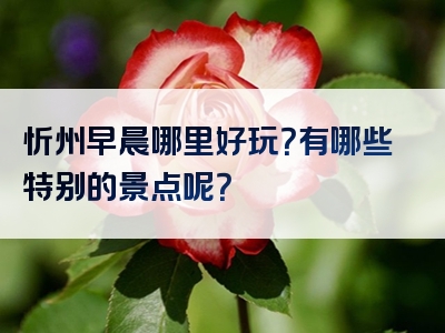 忻州早晨哪里好玩？有哪些特别的景点呢？