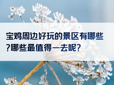 宝鸡周边好玩的景区有哪些？哪些最值得一去呢？