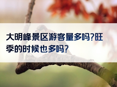 大明峰景区游客量多吗？旺季的时候也多吗？