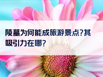 陵墓为何能成旅游景点？其吸引力在哪？