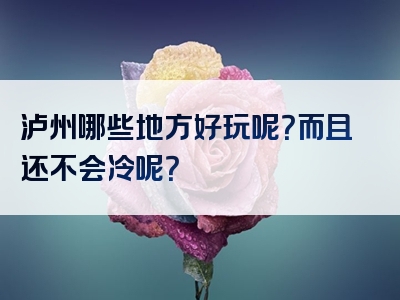 泸州哪些地方好玩呢？而且还不会冷呢？