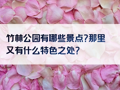 竹林公园有哪些景点？那里又有什么特色之处？