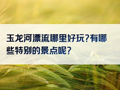 玉龙河漂流哪里好玩？有哪些特别的景点呢？