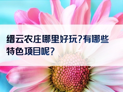 缙云农庄哪里好玩？有哪些特色项目呢？