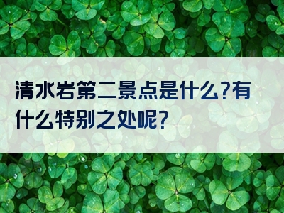 清水岩第二景点是什么？有什么特别之处呢？