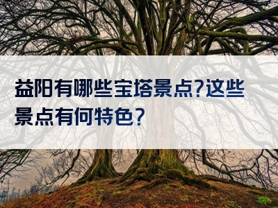 益阳有哪些宝塔景点？这些景点有何特色？