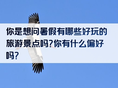 你是想问暑假有哪些好玩的旅游景点吗？你有什么偏好吗？