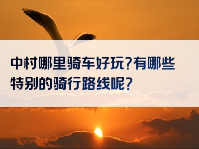 中村哪里骑车好玩？有哪些特别的骑行路线呢？