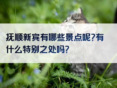 抚顺新宾有哪些景点呢？有什么特别之处吗？