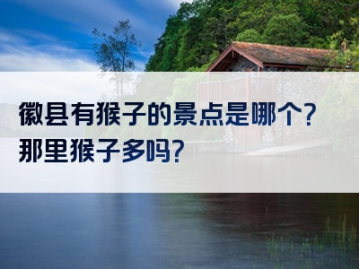 徽县有猴子的景点是哪个？那里猴子多吗？