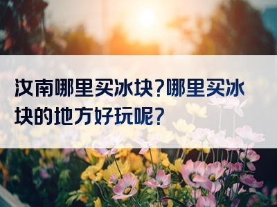 汝南哪里买冰块？哪里买冰块的地方好玩呢？