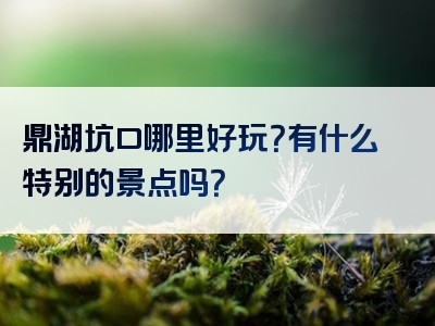 鼎湖坑口哪里好玩？有什么特别的景点吗？