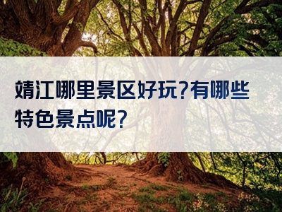 靖江哪里景区好玩？有哪些特色景点呢？