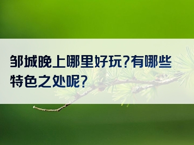 邹城晚上哪里好玩？有哪些特色之处呢？