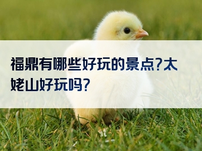 福鼎有哪些好玩的景点？太姥山好玩吗？