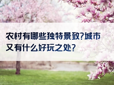 农村有哪些独特景致？城市又有什么好玩之处？