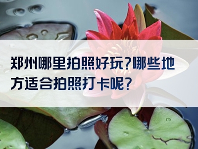郑州哪里拍照好玩？哪些地方适合拍照打卡呢？
