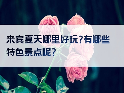 来宾夏天哪里好玩？有哪些特色景点呢？