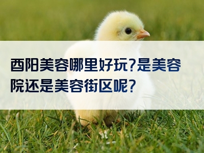 酉阳美容哪里好玩？是美容院还是美容街区呢？