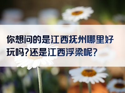你想问的是江西抚州哪里好玩吗？还是江西浮梁呢？
