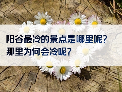 阳谷最冷的景点是哪里呢？那里为何会冷呢？