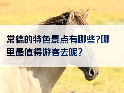 常德的特色景点有哪些？哪里最值得游客去呢？