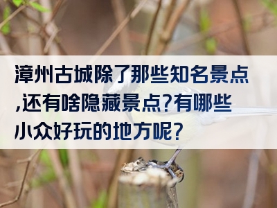 漳州古城除了那些知名景点，还有啥隐藏景点？有哪些小众好玩的地方呢？