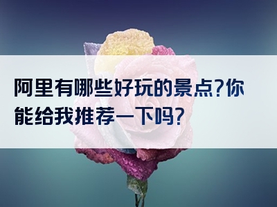 阿里有哪些好玩的景点？你能给我推荐一下吗？