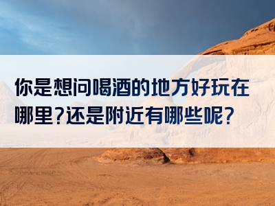 你是想问喝酒的地方好玩在哪里？还是附近有哪些呢？