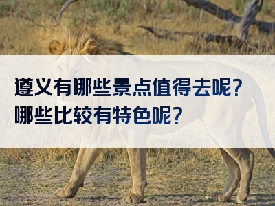 遵义有哪些景点值得去呢？哪些比较有特色呢？