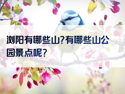浏阳有哪些山？有哪些山公园景点呢？