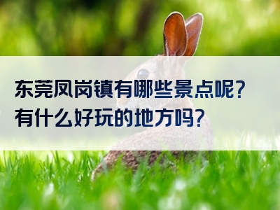东莞凤岗镇有哪些景点呢？有什么好玩的地方吗？