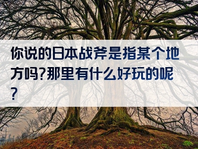 你说的日本战斧是指某个地方吗？那里有什么好玩的呢？