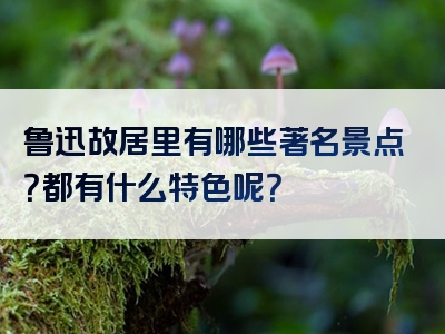 鲁迅故居里有哪些著名景点？都有什么特色呢？
