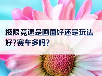 极限竞速是画面好还是玩法好？赛车多吗？