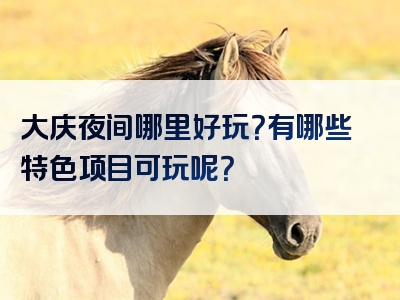 大庆夜间哪里好玩？有哪些特色项目可玩呢？