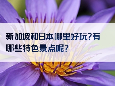 新加坡和日本哪里好玩？有哪些特色景点呢？