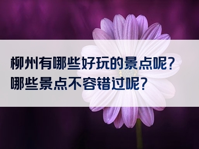 柳州有哪些好玩的景点呢？哪些景点不容错过呢？