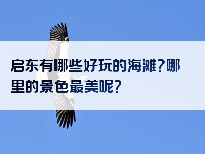 启东有哪些好玩的海滩？哪里的景色最美呢？