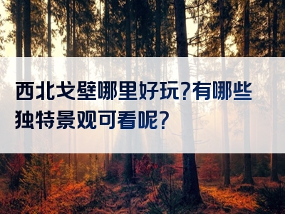 西北戈壁哪里好玩？有哪些独特景观可看呢？