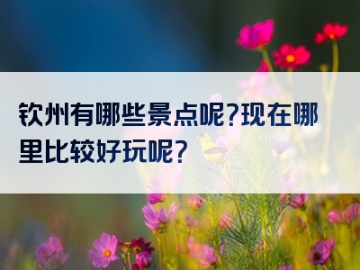 钦州有哪些景点呢？现在哪里比较好玩呢？