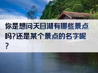 你是想问天目湖有哪些景点吗？还是某个景点的名字呢？