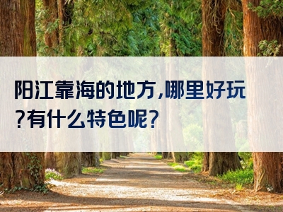 阳江靠海的地方，哪里好玩？有什么特色呢？