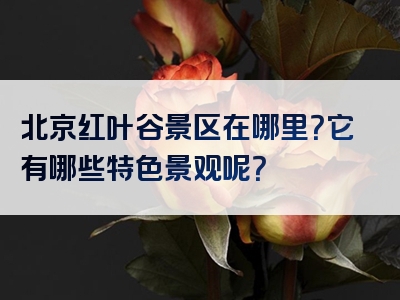 北京红叶谷景区在哪里？它有哪些特色景观呢？