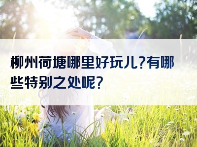 柳州荷塘哪里好玩儿？有哪些特别之处呢？