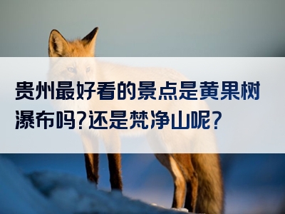 贵州最好看的景点是黄果树瀑布吗？还是梵净山呢？