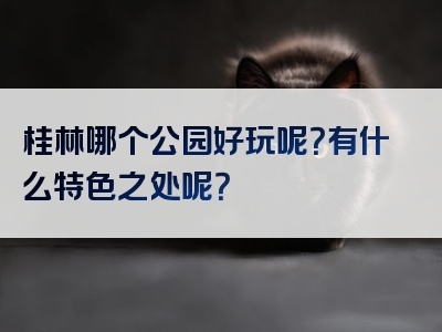 桂林哪个公园好玩呢？有什么特色之处呢？